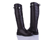 Сапоги Бабочка 703-232 от магазина Frison