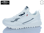 Кроссовки Baas M7700-4C от магазина Frison