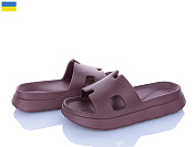 Шлепанцы Golden Lion 145 шоколад от магазина Frison