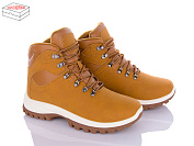 Ботинки Bdds LL122 camel от магазина Frison