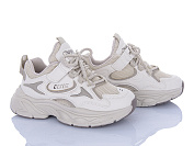 Кроссовки Clibee G1831P beige от магазина Frison