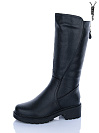 Сапоги I.Trendy DH3590-1 от магазина Frison