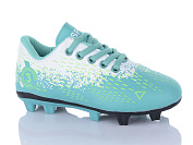 Спорт Ashiguli C20-5 от магазина Frison