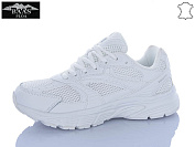 Кроссовки Baas H1101-4 от магазина Frison