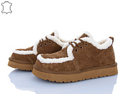 Туфли Itts 5272-45 от магазина Frison