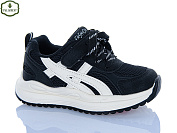 Кроссовки Paliament B0056-2 от магазина Frison