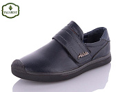 Туфли Paliament C1906-6B от магазина Frison
