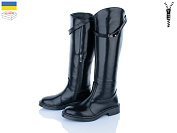 Сапоги Ailinda 05006-2ДБ от магазина Frison