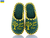 Тапочки Active 041 дит.зелений от магазина Frison